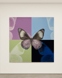 Butterfly project Plexi I