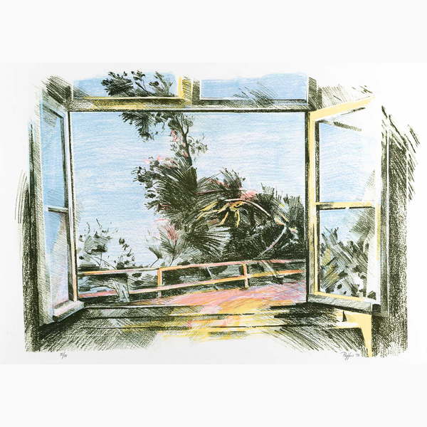 Window