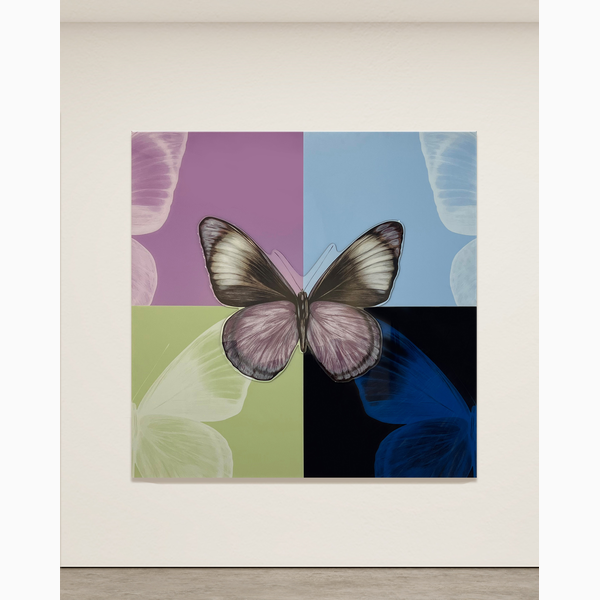 Butterfly project Plexi I